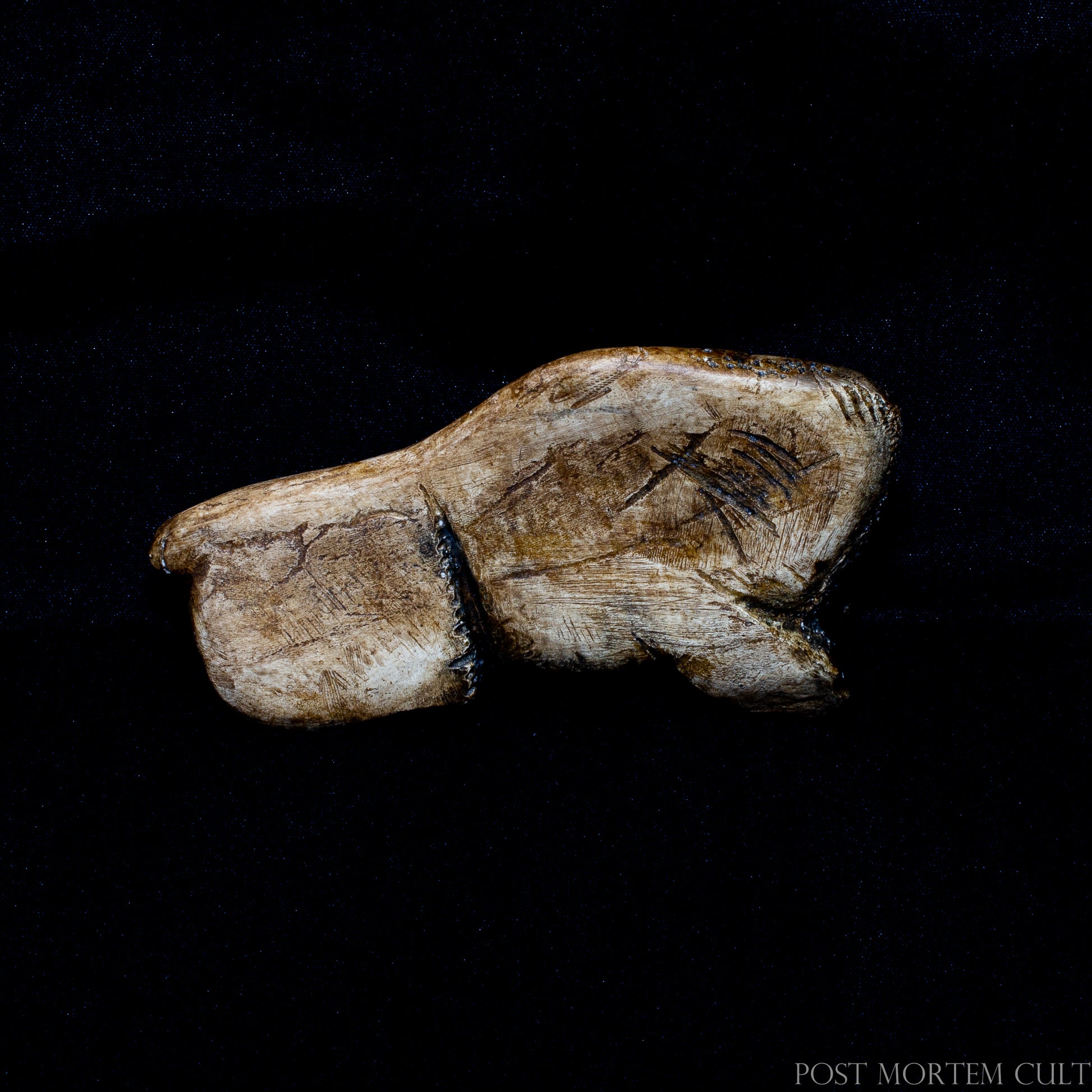 Close-up view highlighting the engraved fur textures, expressive eye and porous antler-inspired surface. Each piece is individually hand-painted using earthy pigments and archaeological finishes to recreate the appearance of ancient carved antler.