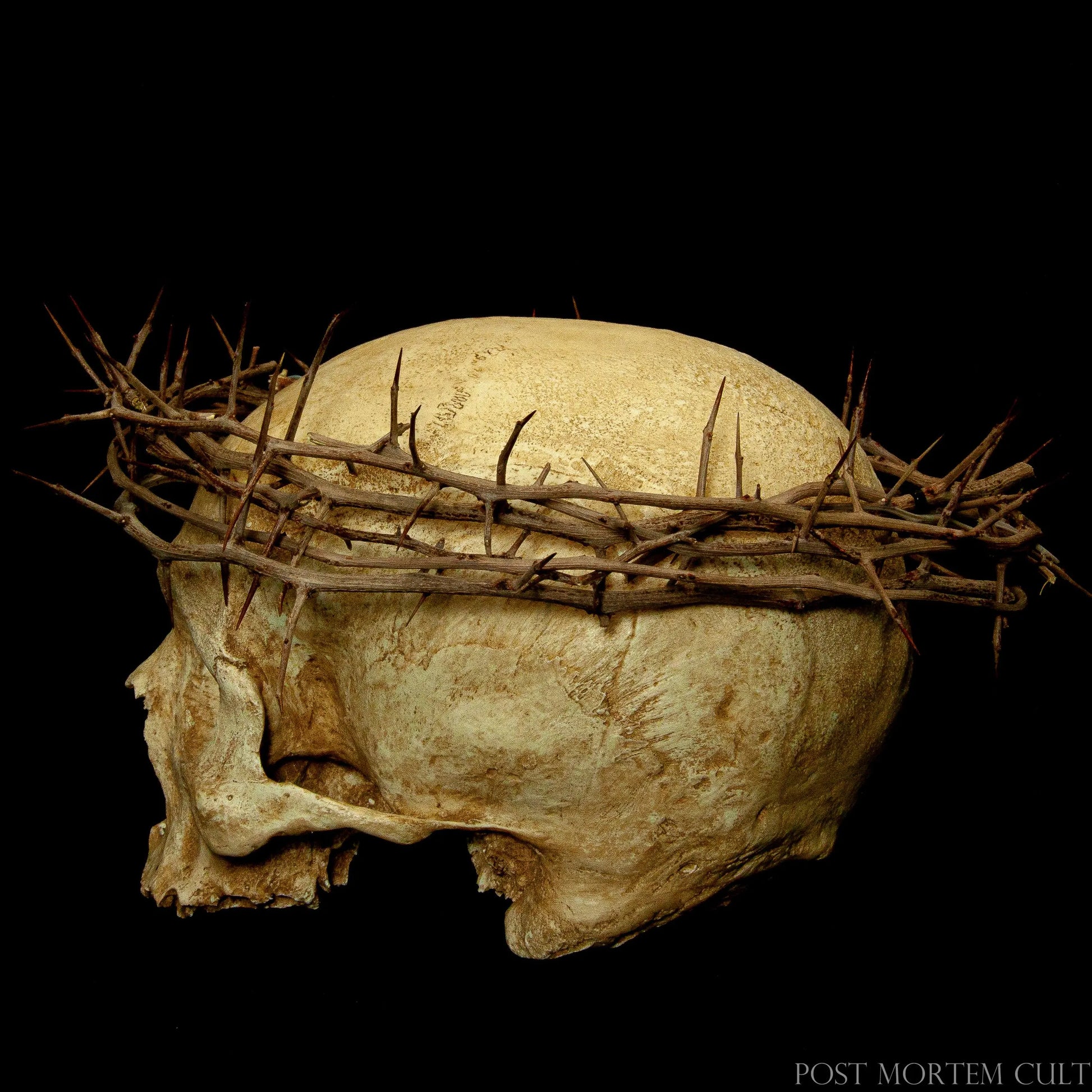 Detailed shot of Devotio Skull’s eye socket and bone erosion, combined with a handmade crown by a sacred-art specialist.