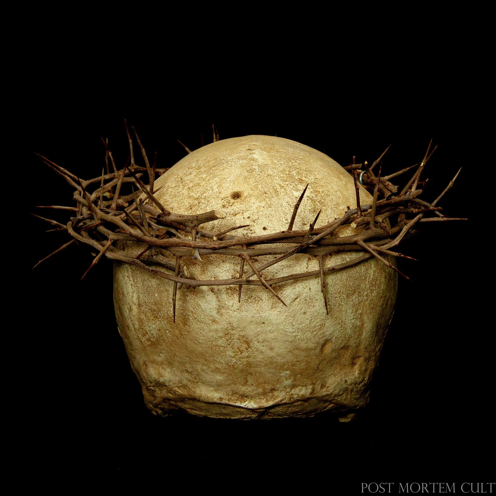 Life-size ossuary human skull replica with authentic patina, aged bone finish and artisanal thorn crown for dramatic display.