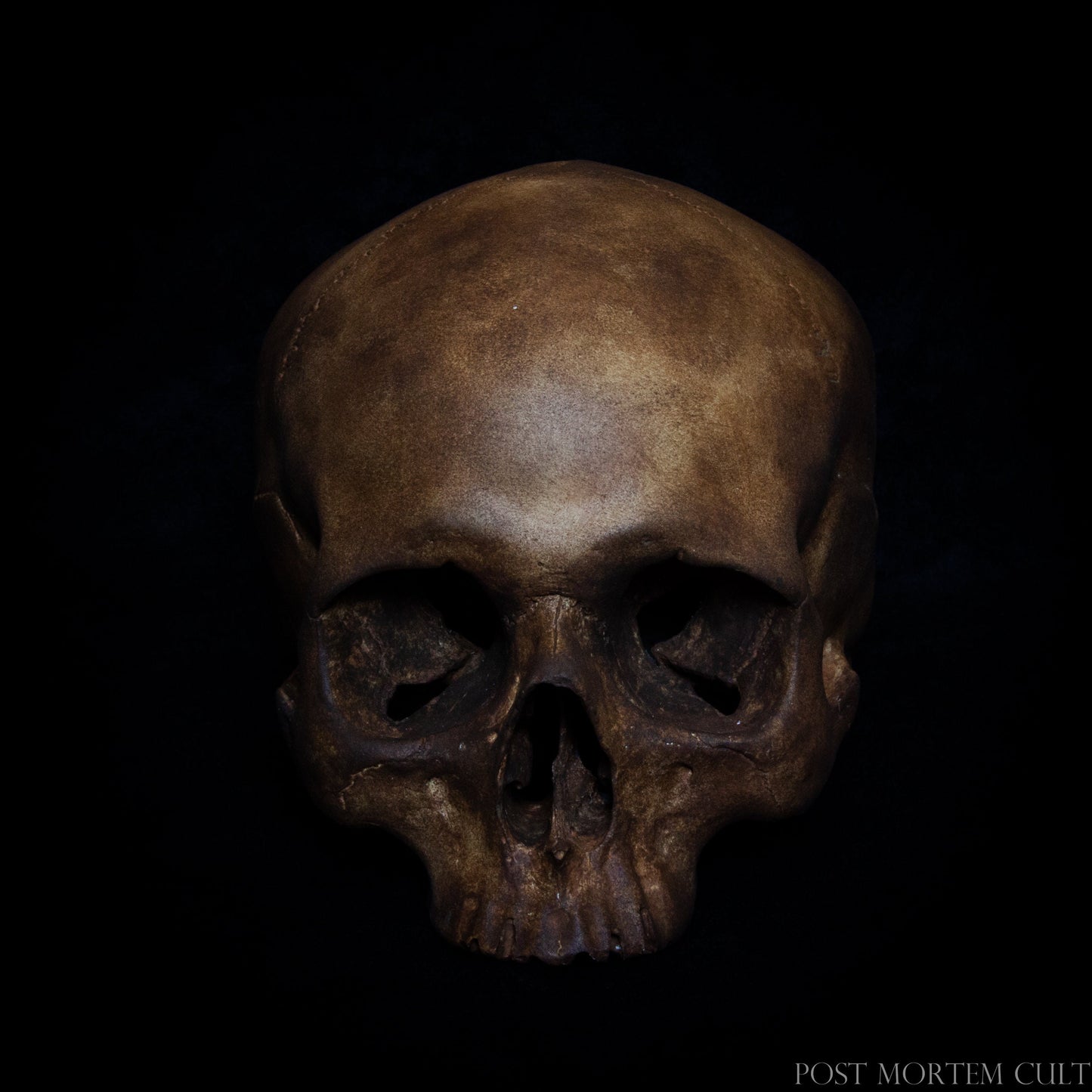 A Masterpiece of Authenticity: This dark-toned human skull replica is hand-painted with earthy textures and organic details that evoke a truly natural look. Its realistic finish and precise craftsmanship make it a standout piece for collectors and those with a passion for anatomical decor.