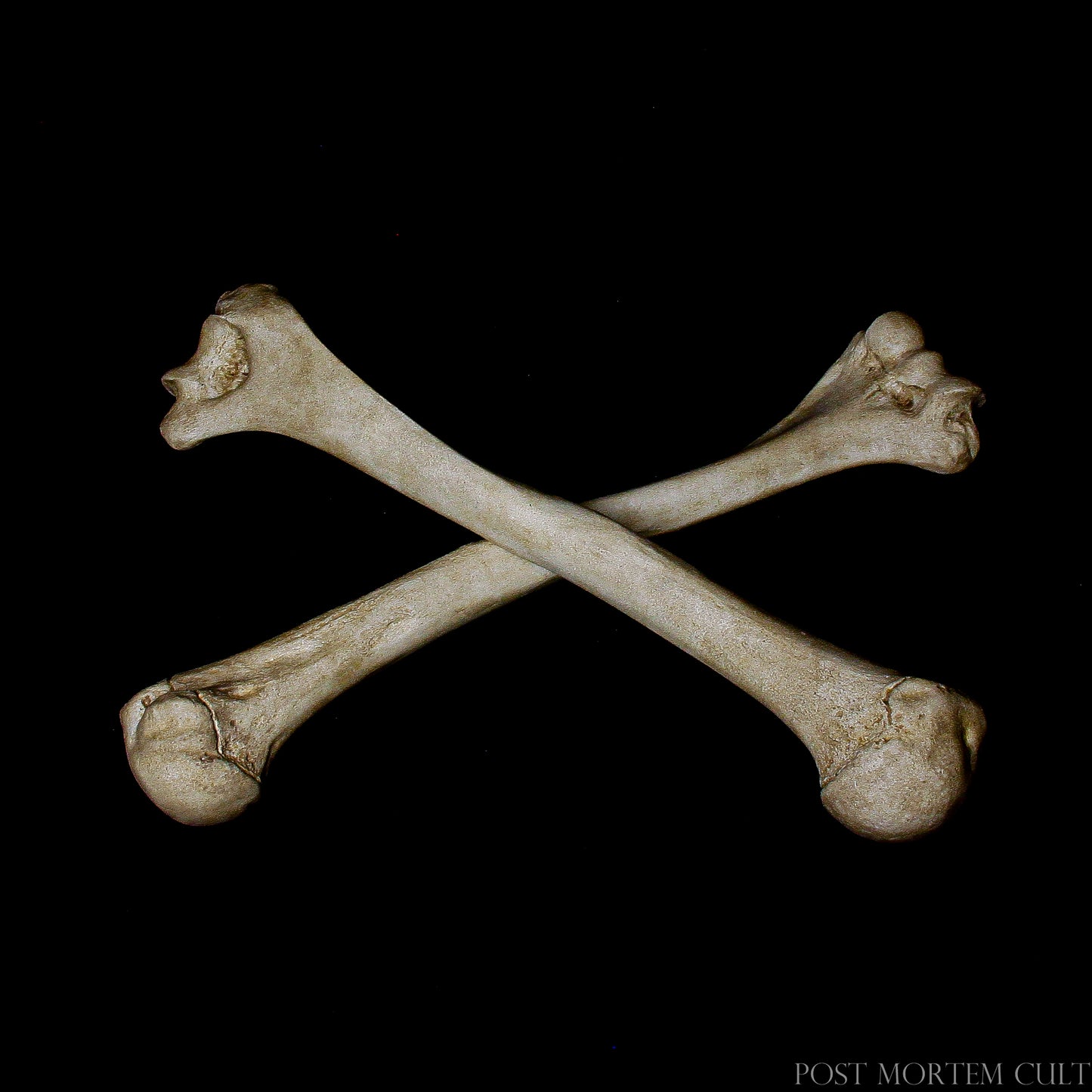 Realistic Human Humerus Replica: Designed with utmost attention to detail, this humerus replica mimics the natural texture and wear patterns of real bone. The hand-painted tones provide a beautifully authentic look for those interested in anatomy studies.