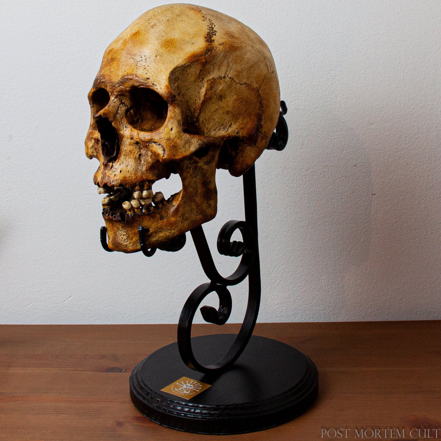 Elegant Forged Iron Skull Stand – Perfectly Crafted to Showcase Your Most Valuable Skull Collectibles with Style