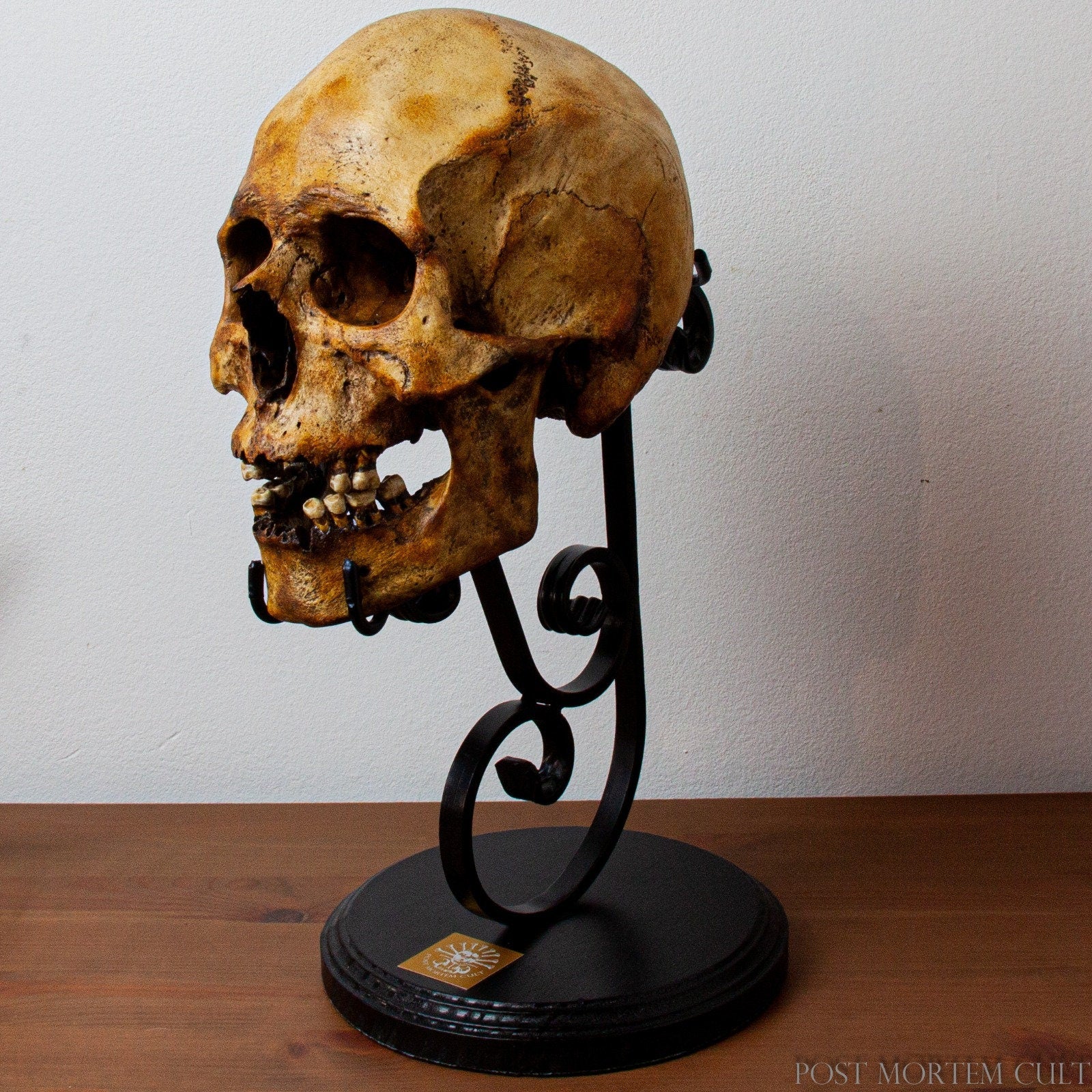 High-Quality Skull Support – Meticulously Handmade with Durable Forged Iron for Longevity and Stability.