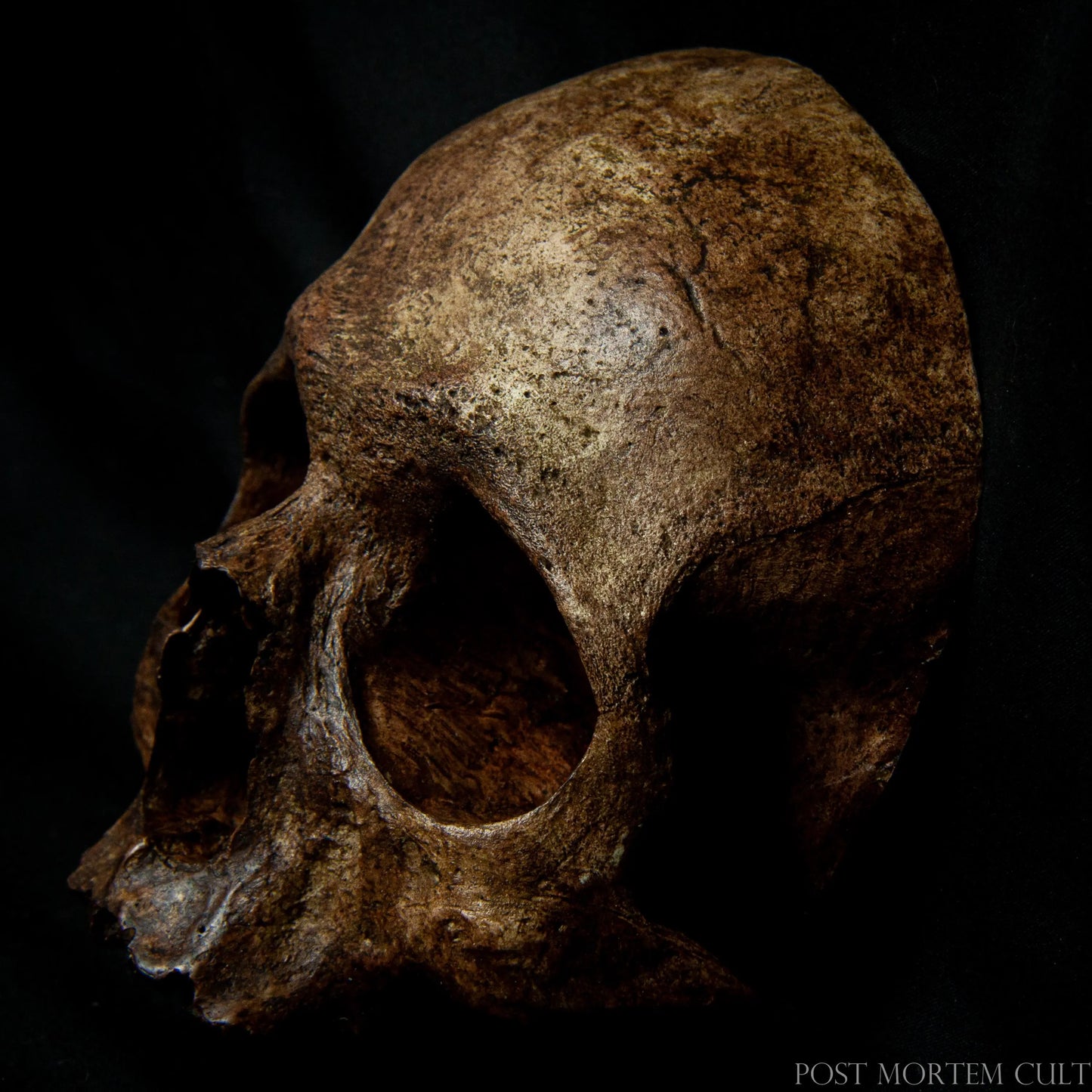 High-detail shot of the Mortuorum skull finish, showing the aged patina and realistic shadows that create an authentic relic-style appearance.