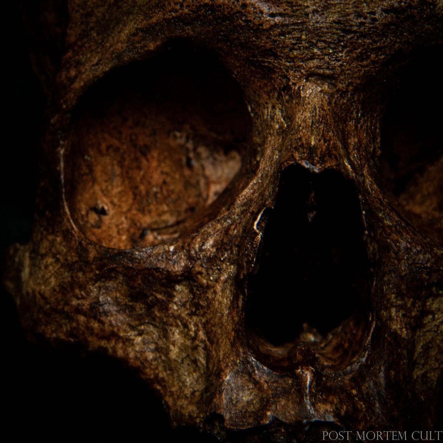 Textured macro shot of the hand-painted surface, emphasizing artisan craftsmanship and the mask’s suitability for collectors of unusual and artistic decor.