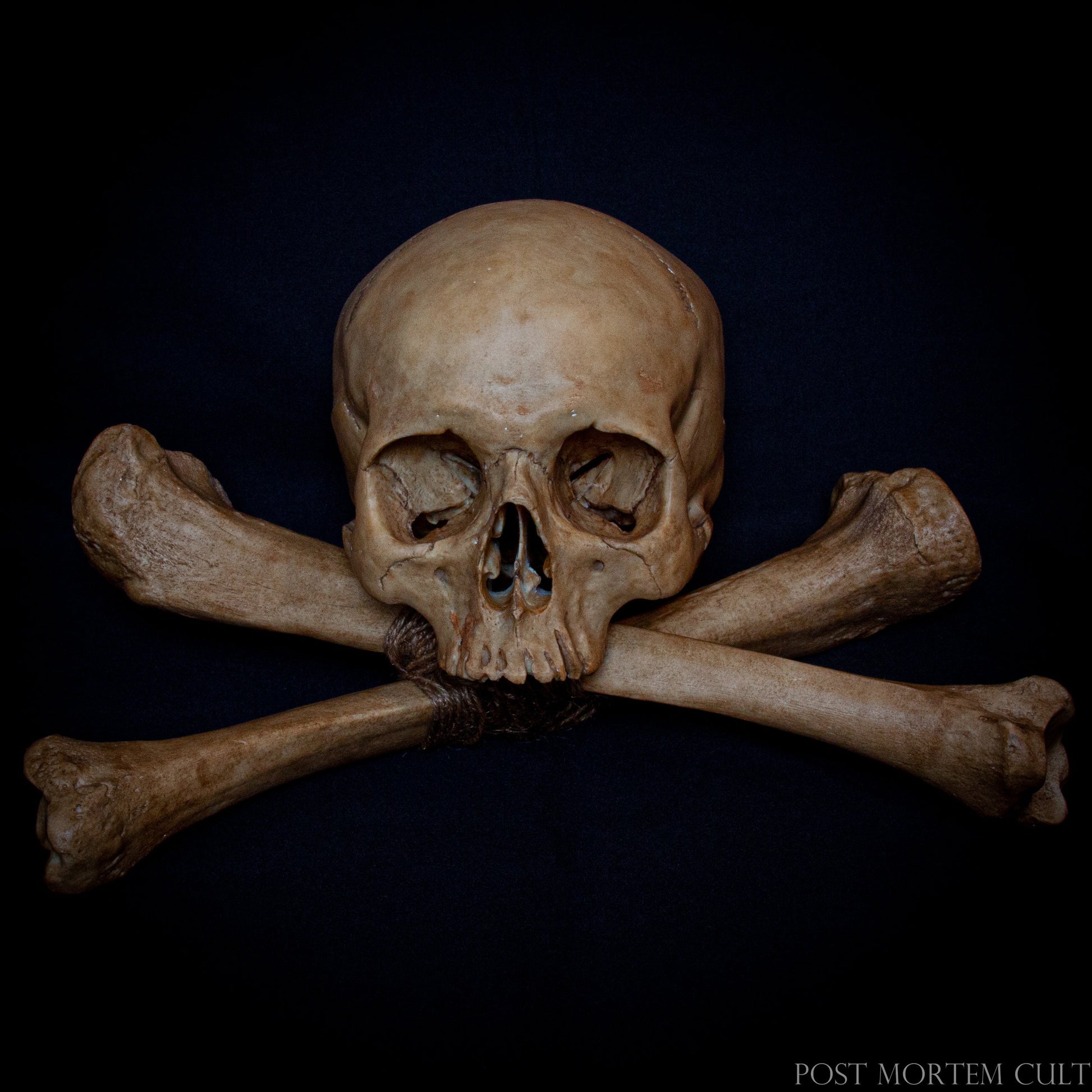 Pirate Skull with Human Bones
Perfect for home and office décor, capturing the essence of pirate lore.