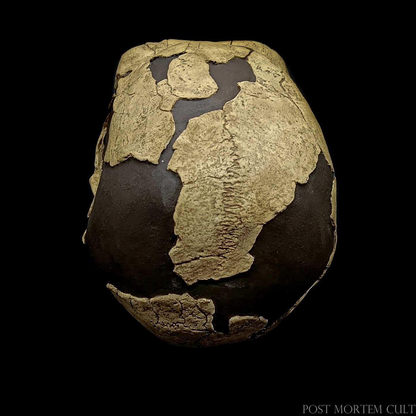 Close-up fossil replica with cracked bone surfaces, deep texture, and high-precision anatomical accuracy.