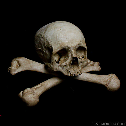 Handcrafted Sedlec Ossuary skull replica inspired by historical European bone chapels and memento mori traditions.