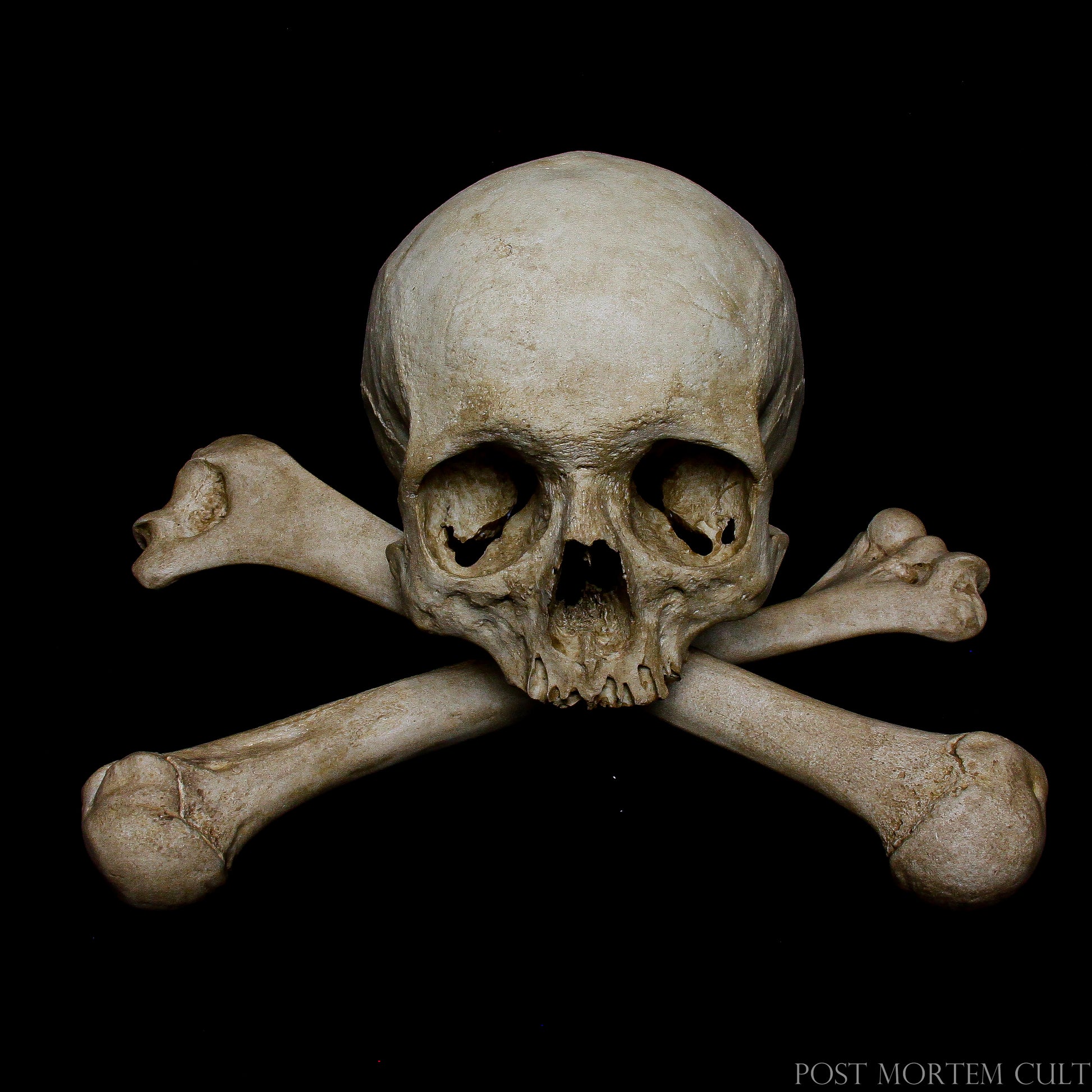 The crossed humeri arrangement recalls the symbolic bone architecture historically found in crypts, catacombs and ossuaries.