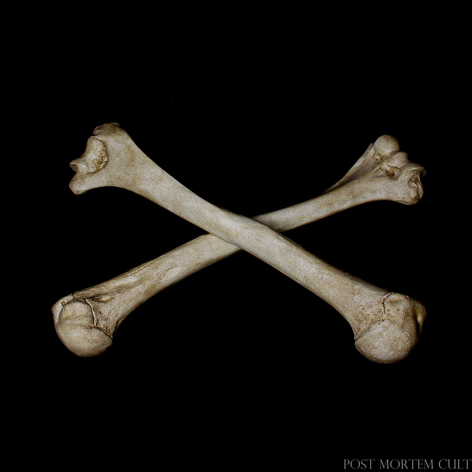 Memento mori inspired composition combining anatomical realism, funerary symbolism and historical European ossuary aesthetics.