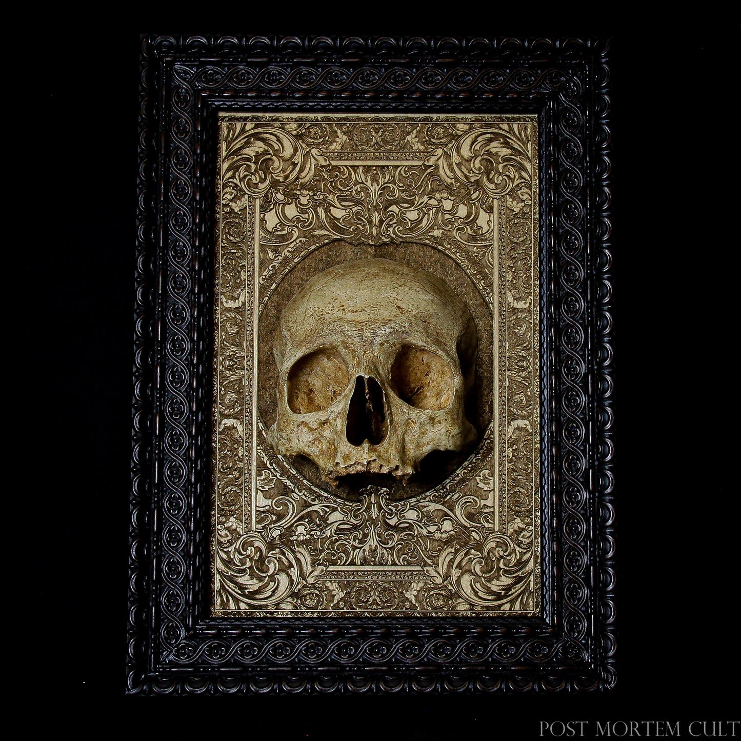 Realistic Human Skull Replica: A stunning 1:1 scale human skull replica, meticulously crafted for the discerning collector. This piece is ideal for gothic decor, tattoo studios, and anatomy enthusiasts. Featuring authentic bone-colored details and a laser-engraved wooden base, it is a unique addition to any collection. A limited edition of 50 pieces, each with its own certificate of authenticity.