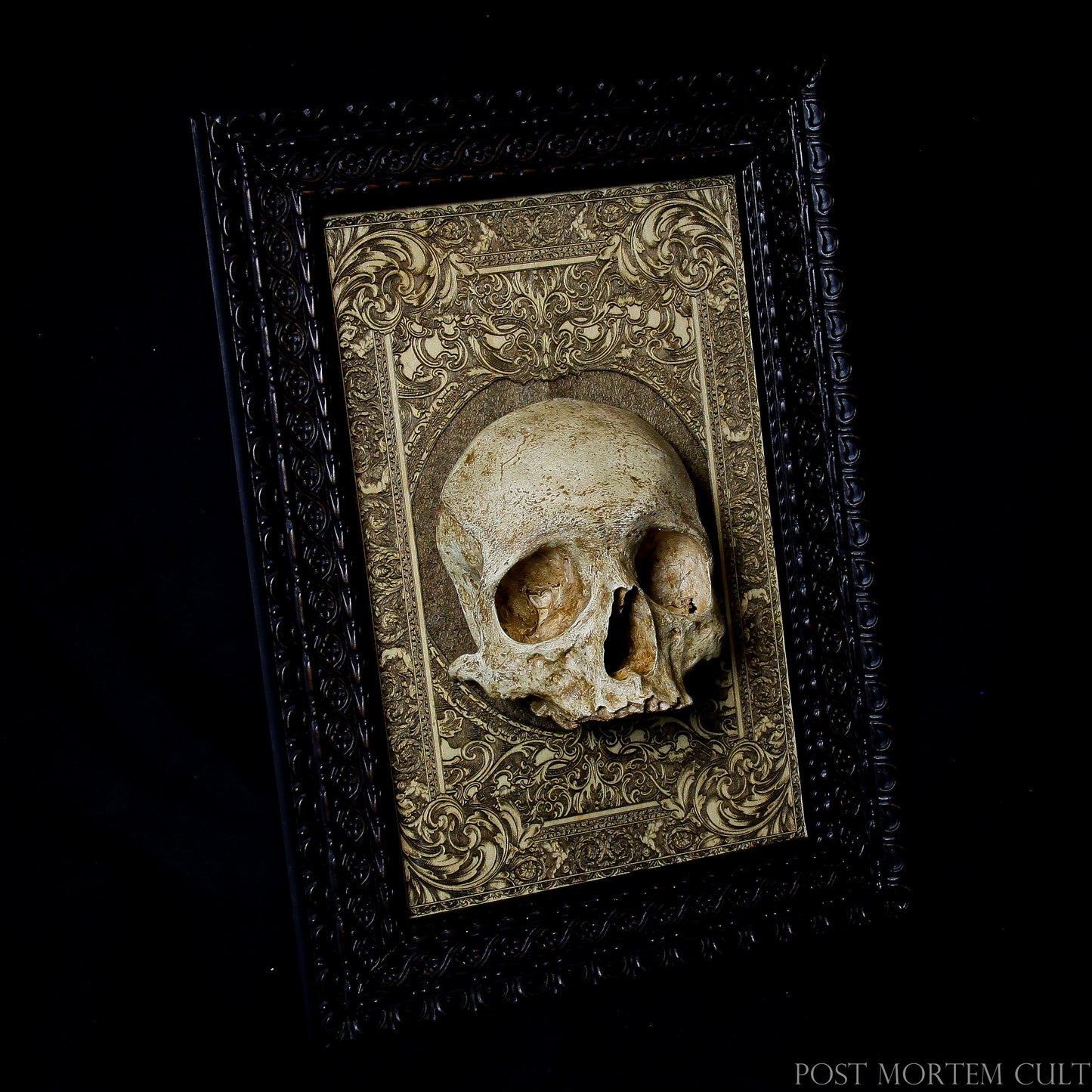 
Limited Edition Skull Plaque: Elevate your decor with this realistic human skull mounted on a wooden plaque. Perfect for gothic enthusiasts, tattoo artists, and those seeking macabre home decor. The laser-engraved wood base adds an extra touch of elegance, while the hand-painted bone-colored finish ensures authenticity. Limited edition, only 50 pieces available.