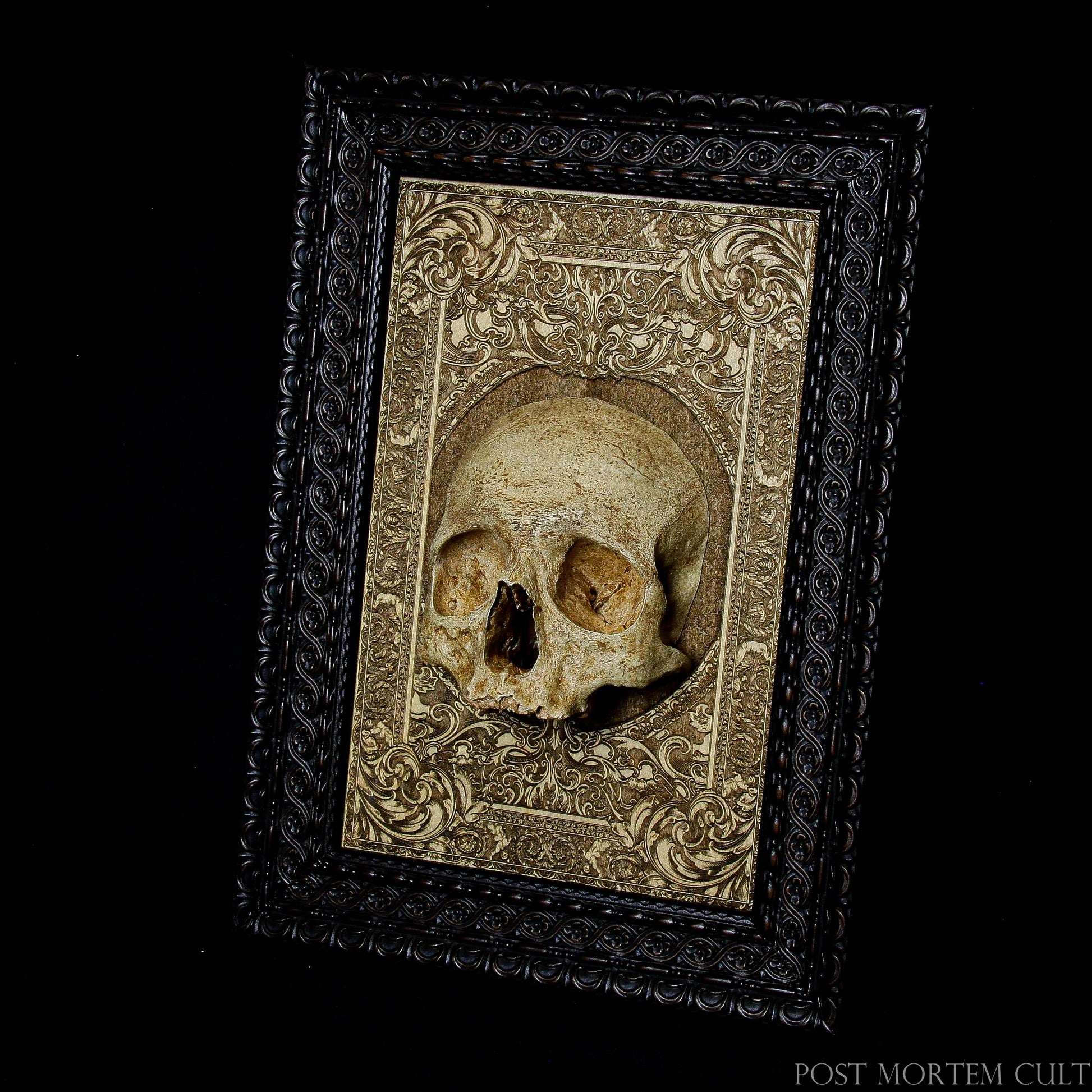 Exquisite Human Skull Art: Add an eerie yet sophisticated element to your space with this hand-painted human skull replica. The skull features a realistic bone texture and is mounted on a laser-engraved wooden base. Ideal for those with a taste for gothic art, anatomical displays, and unique collectibles. Limited edition of 50 pieces, each with a certificate of authenticity.