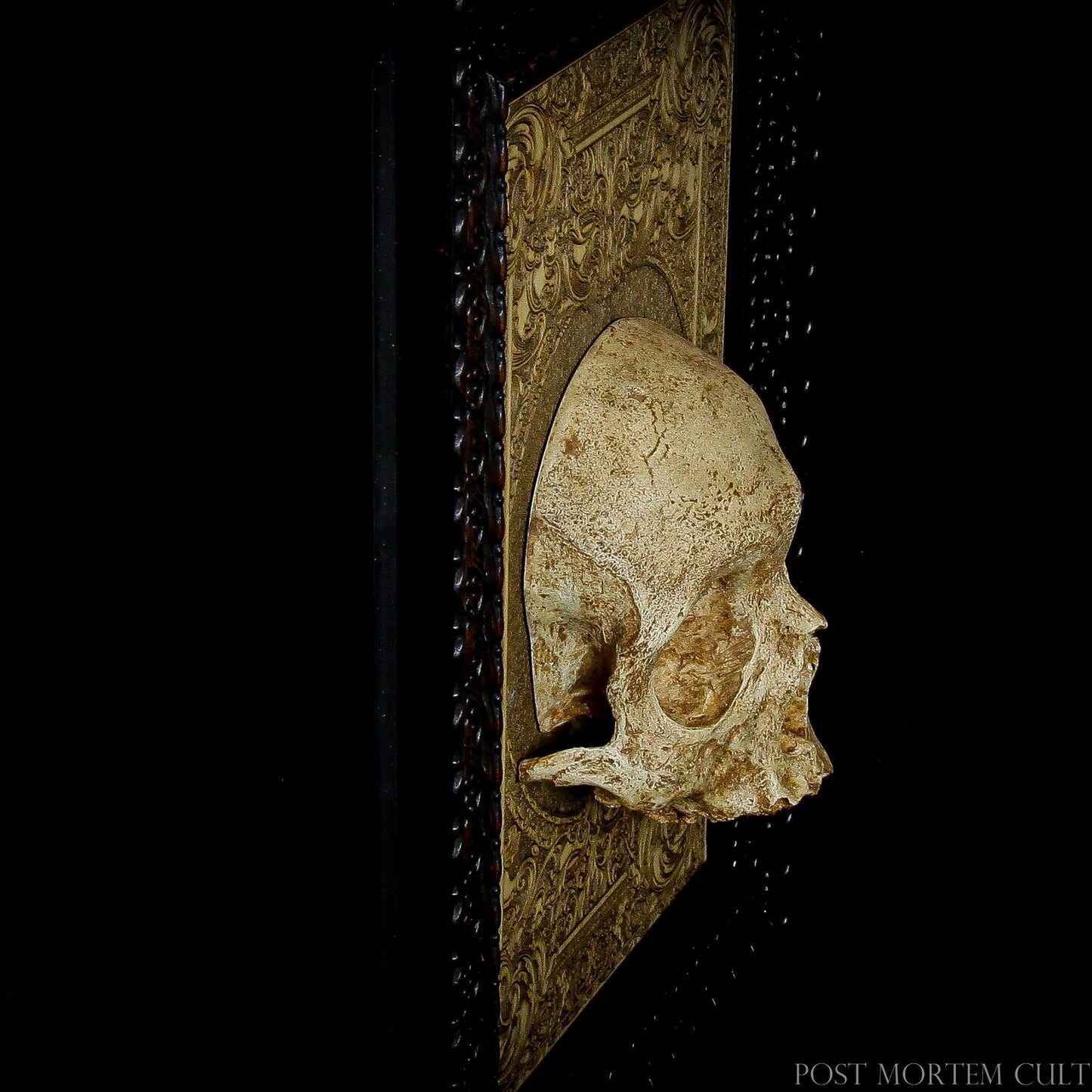 Authentic Human Skull Plaque: Enhance your decor with a realistic human skull replica mounted on a beautifully laser-engraved wooden base. Perfect for gothic and macabre art lovers, tattoo studios, and those who appreciate anatomical art. This limited edition of only 50 pieces is individually numbered and comes with a certificate of authenticity, ensuring it is a unique and valued addition to any collection.