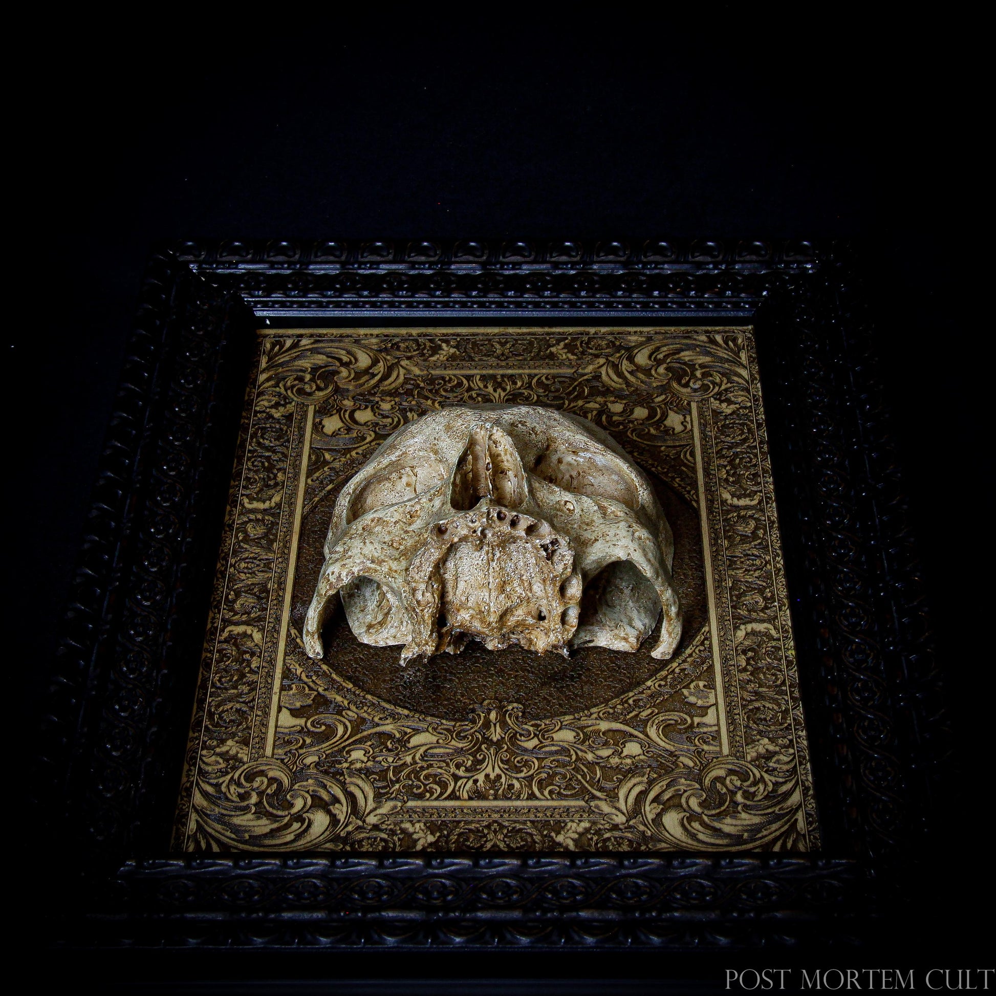 Limited Edition Skull Artwork: Add a striking and authentic human skull replica to your collection with this exclusive wooden base plaque. Featuring a hand-painted, bone-colored finish, this skull is ideal for anatomy collectors, gothic art fans, and tattoo artists. The laser-engraved wooden base enhances its appeal, while the limited edition ensures this skull is a rare and valuable piece.