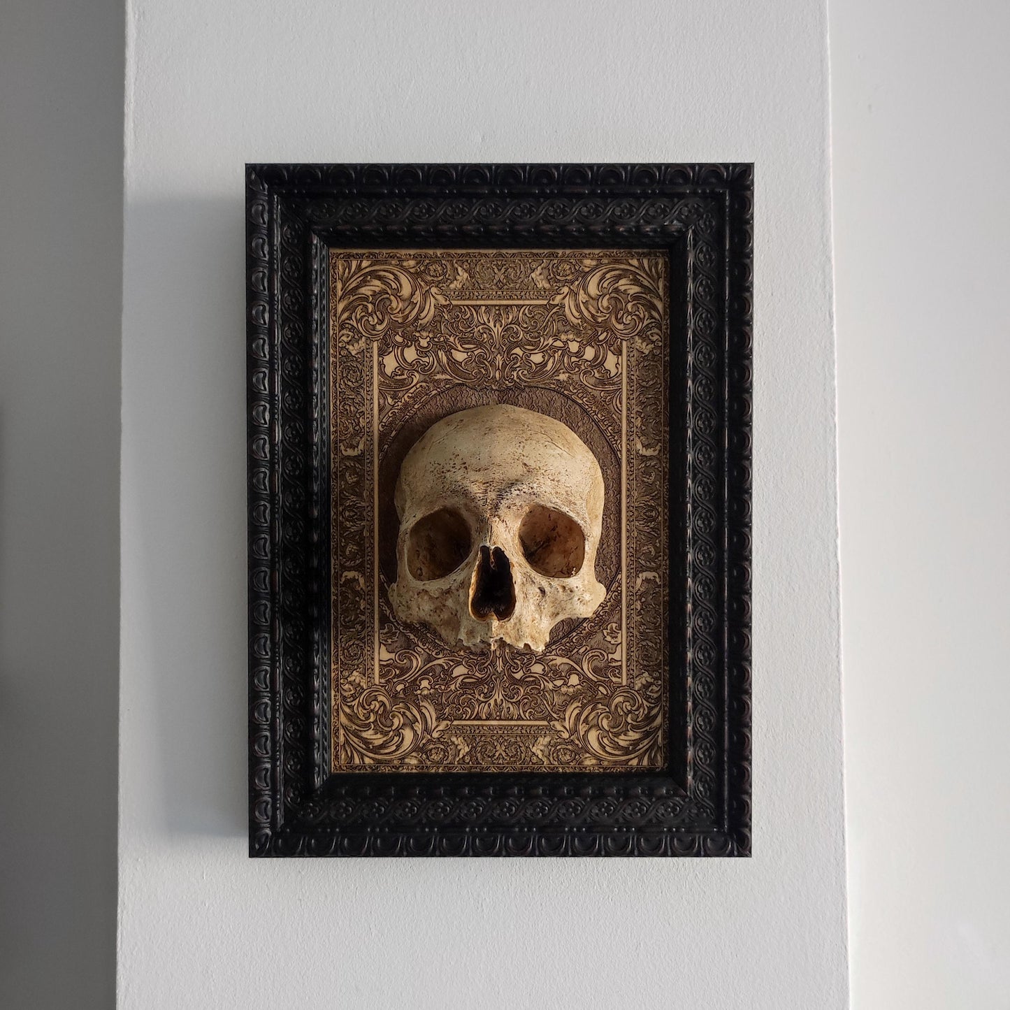 Handcrafted Human Skull Decor: Elevate your decor with this intricately detailed human skull mounted on a laser-engraved wood base. The skull’s realistic bone-like texture and hand-painted finish make it a perfect addition for those who appreciate gothic art or anatomical studies. This is a limited edition of only 50 pieces, each individually numbered with a certificate of authenticity.