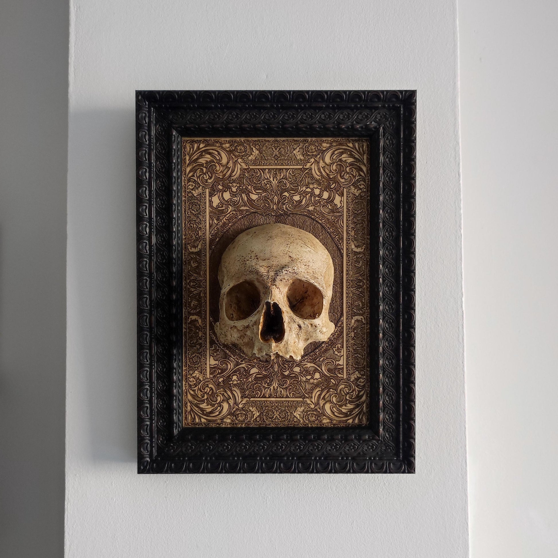 Handcrafted Human Skull Decor: Elevate your decor with this intricately detailed human skull mounted on a laser-engraved wood base. The skull’s realistic bone-like texture and hand-painted finish make it a perfect addition for those who appreciate gothic art or anatomical studies. This is a limited edition of only 50 pieces, each individually numbered with a certificate of authenticity.