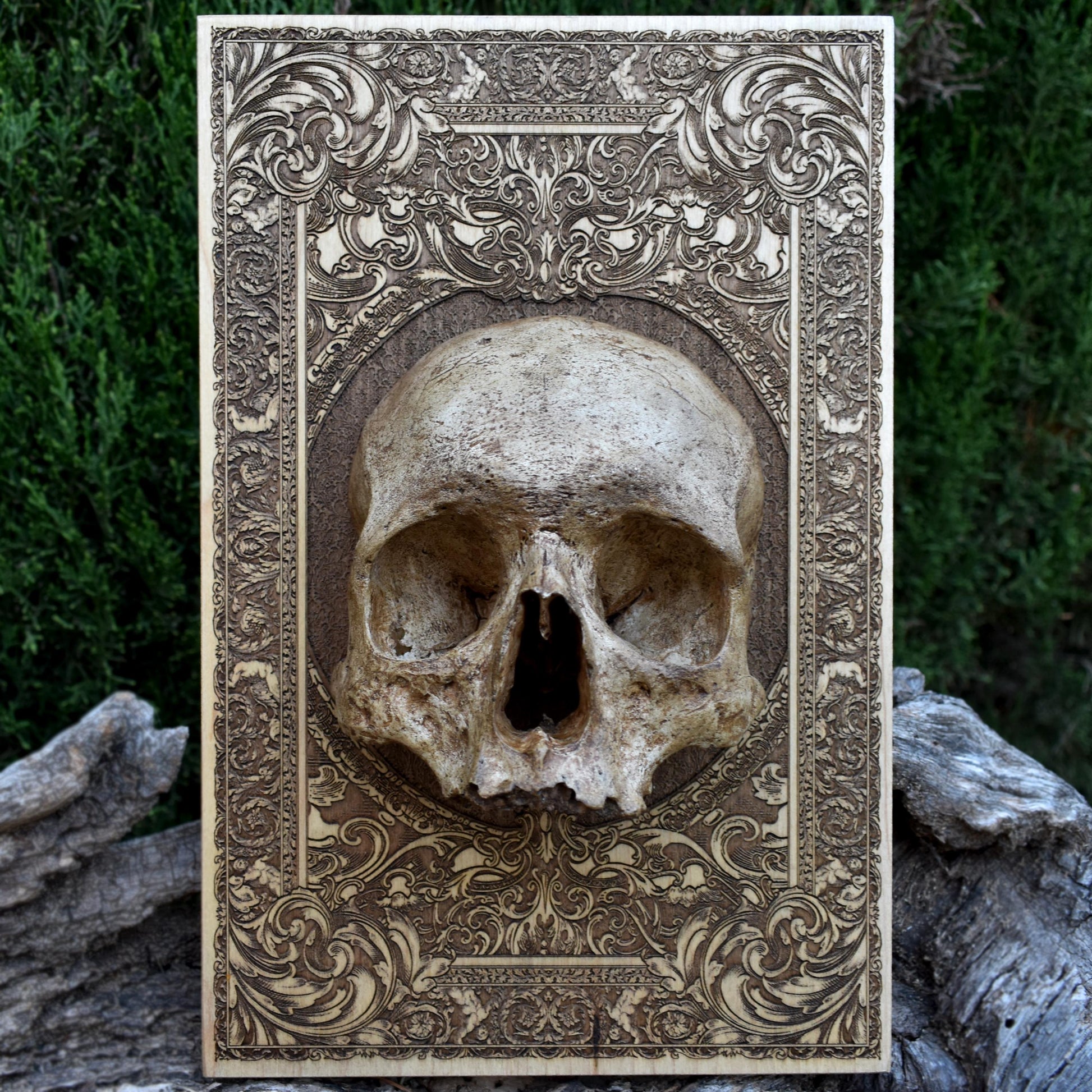 Unique Skull Artwork: This realistic human skull replica is mounted on a high-quality wooden base with laser-engraved details. Perfect for fans of gothic home decor, tattoo studios, or those looking for a statement piece for their collection. The skull’s hand-painted finish replicates the true texture of bone, and with only 50 pieces available, this limited edition piece is a must-have for collectors.