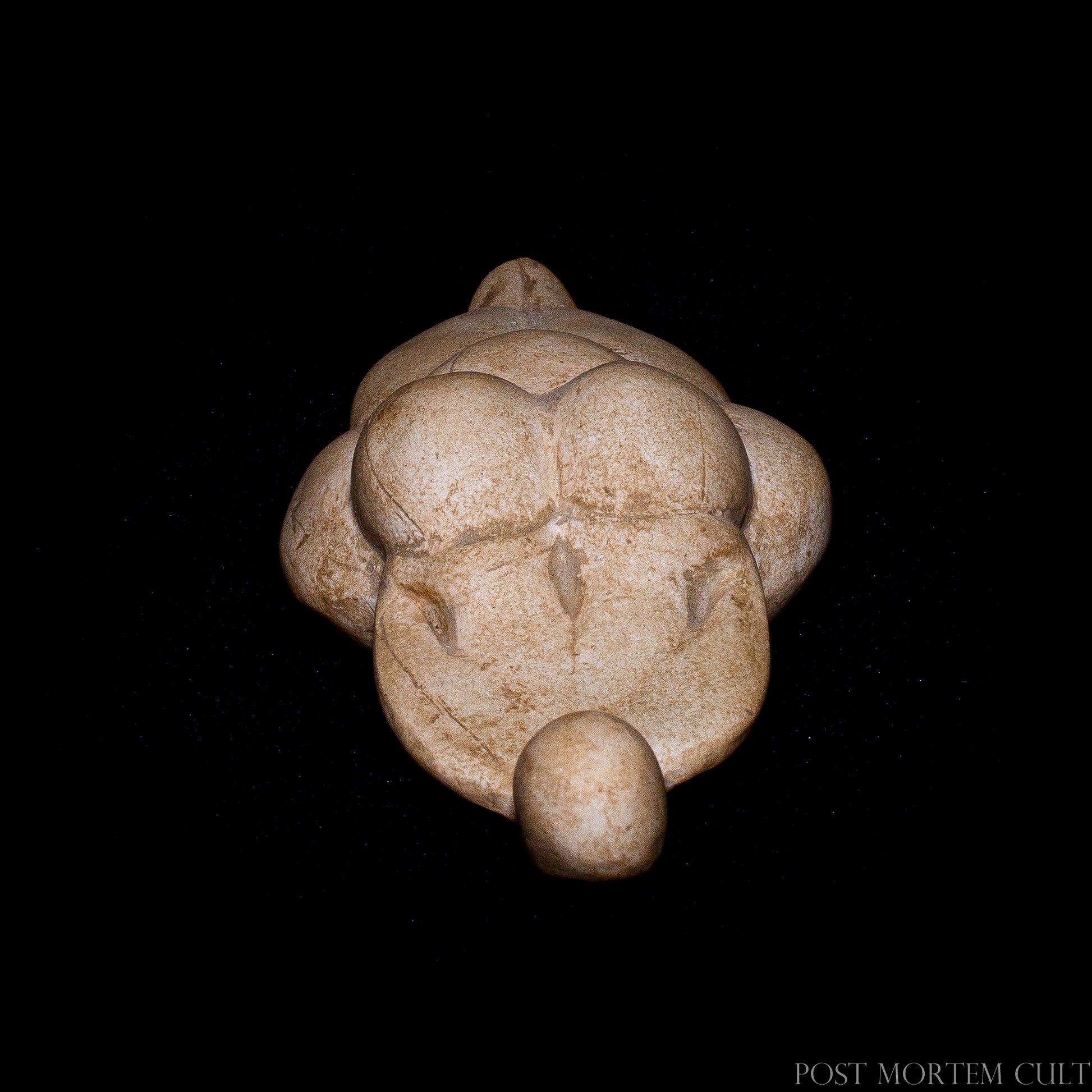 Side profile of the Venus of Lespugue figurine, showing the curved silhouette and compact body typical of prehistoric fertility representations.