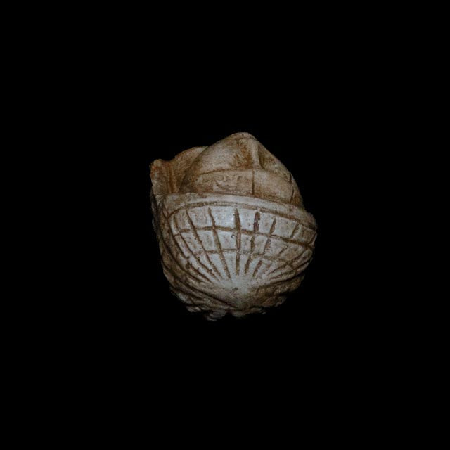 Top view of the Venus of Brassempouy replica highlighting the geometric incisions across the head of the prehistoric figurine.