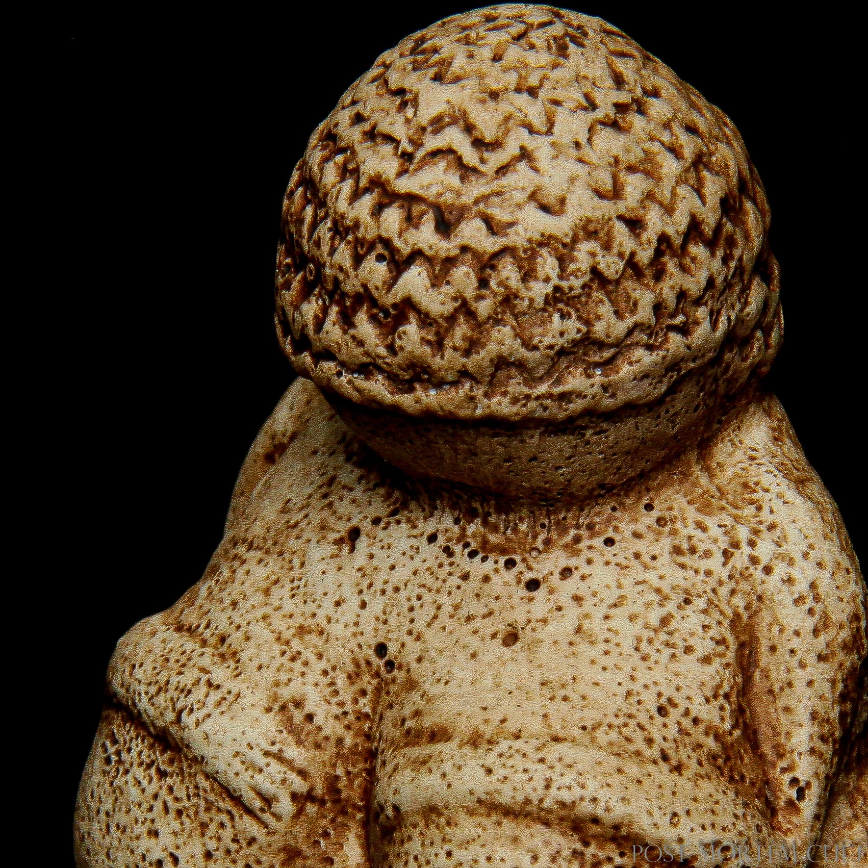 Realistic Surface Texture: This Venus of Willendorf replica features a distinct, rough texture, similar to the natural wear seen on the original piece. The careful use of resin ensures that the texture is both visually accurate and physically engaging, making it a stunning addition to any collection.