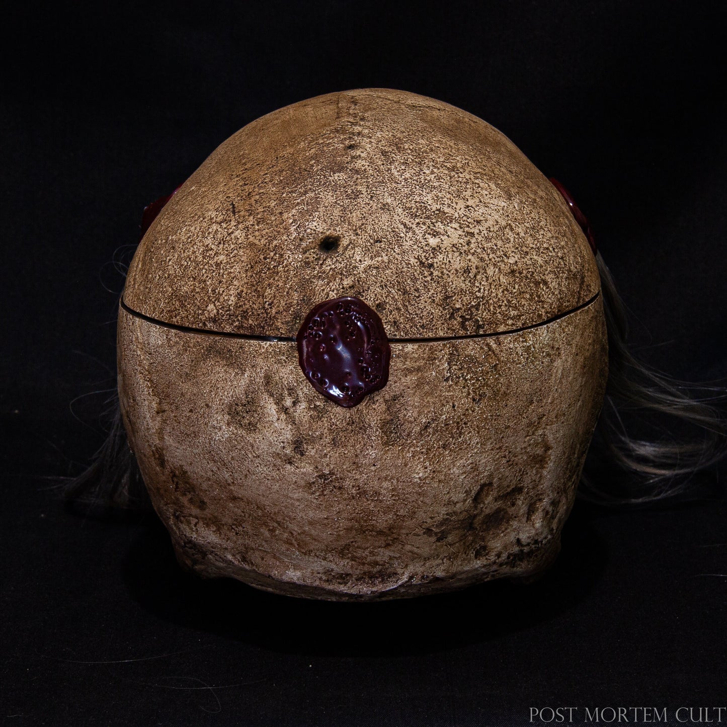 Aged Appearance of the Witch Skull
The skull’s aged appearance is perfectly captured, from its weathered texture to its wax-sealed surface. Each detail tells a story, making it a true representation of antique craftsmanship and occult history.