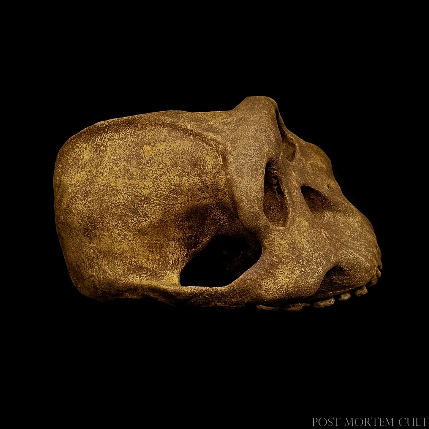 Three-quarter angle of the skull reconstruction, emphasizing the pronounced sagittal crest.