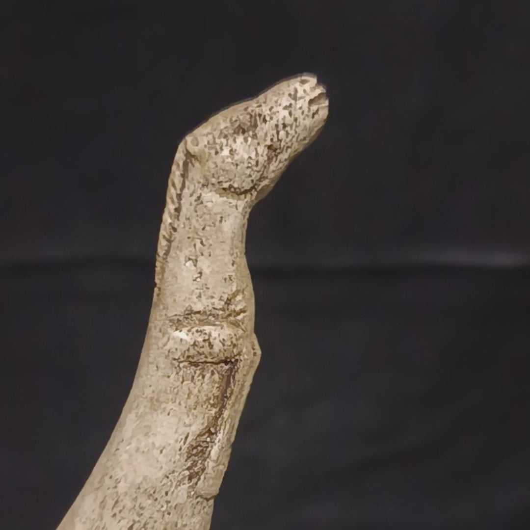 Museum-inspired Paleolithic atlatl replica featuring worn surfaces, porous textures and refined sculptural movement characteristic of Ice Age portable art.