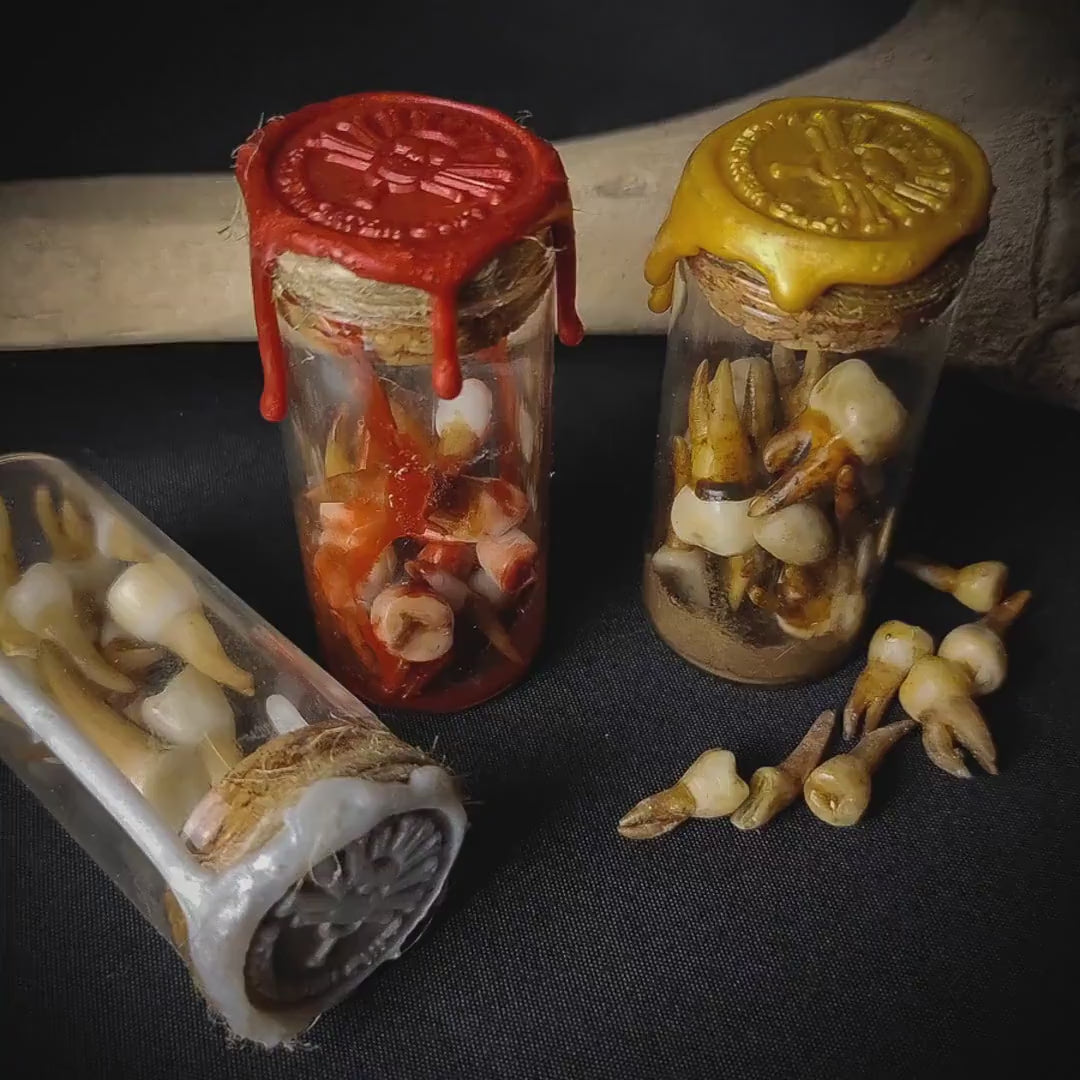 Réplica bote dientes Humanos, dientes realistas, rarezas Dentales, Decoración de Halloween, Regalo Gótico Único, espeluznante