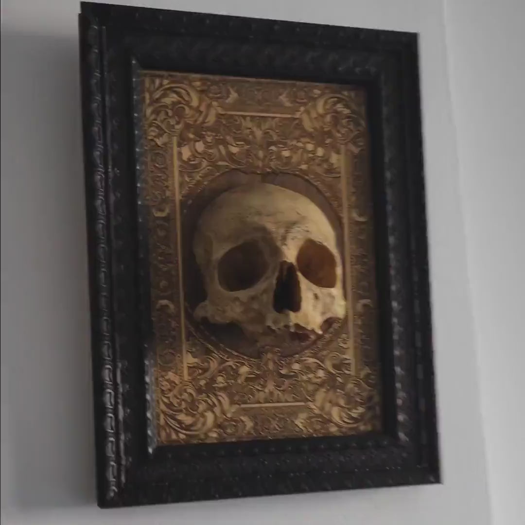 Discover the unique craftsmanship of our limited edition human skull mounted on a beautifully laser-engraved wood base. This hand-painted skull offers incredible realistic detail, replicating the authentic texture of bone. Perfect for gothic decor, tattoo studios, and anatomical art collectors, each piece is individually numbered and comes with a certificate of authenticity. Watch the video to see this stunning skull up close and learn more about its exclusive design and artistic appeal. Only 50 pieces.