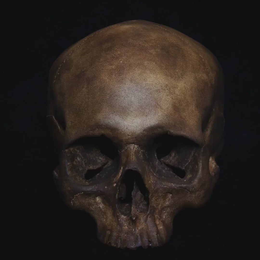 Exceptional Detail in Every Angle:
This stunning human skull replica features dark organic tones and intricate details, perfect for creating a dramatic statement in any setting. Whether for collectors, anatomical studies, or interior decoration, it exudes unparalleled realism.